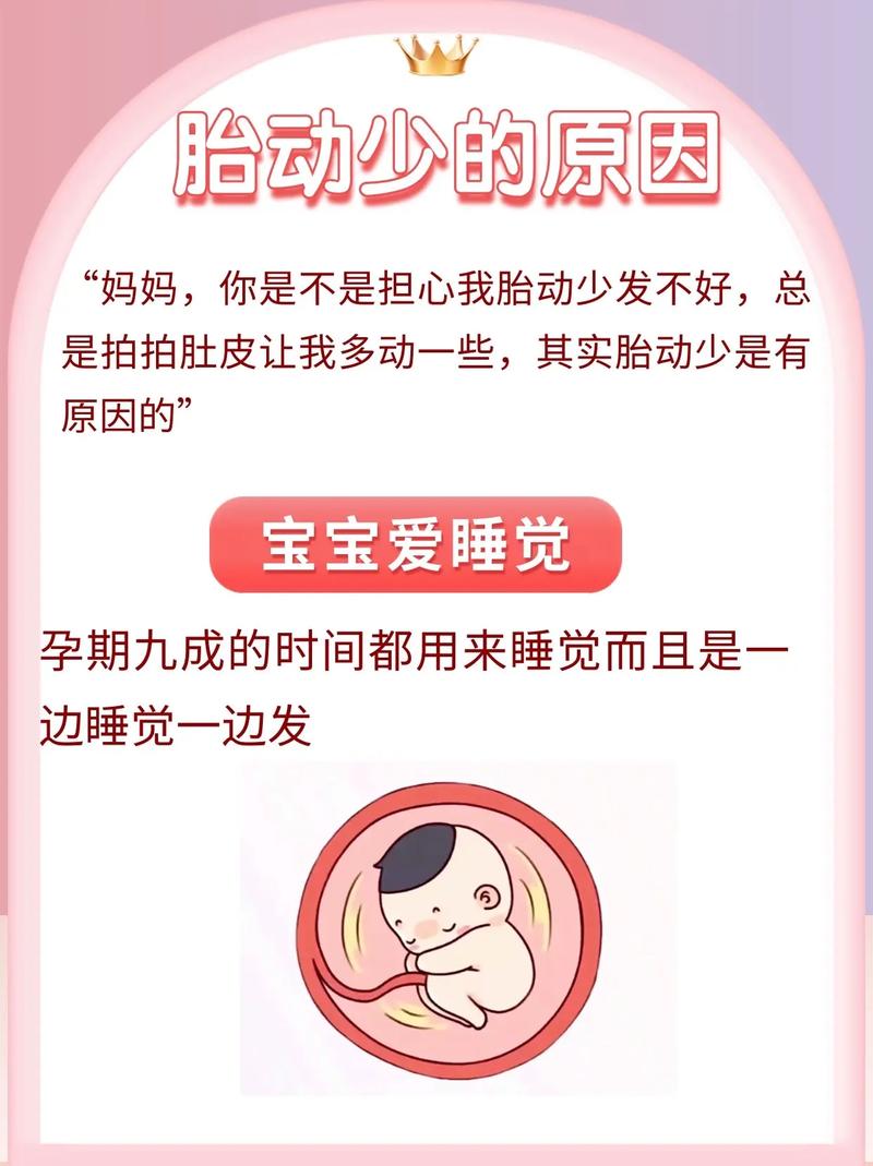 定西借卵代怀:宝宝胎动少怎么回事